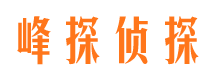 若羌侦探